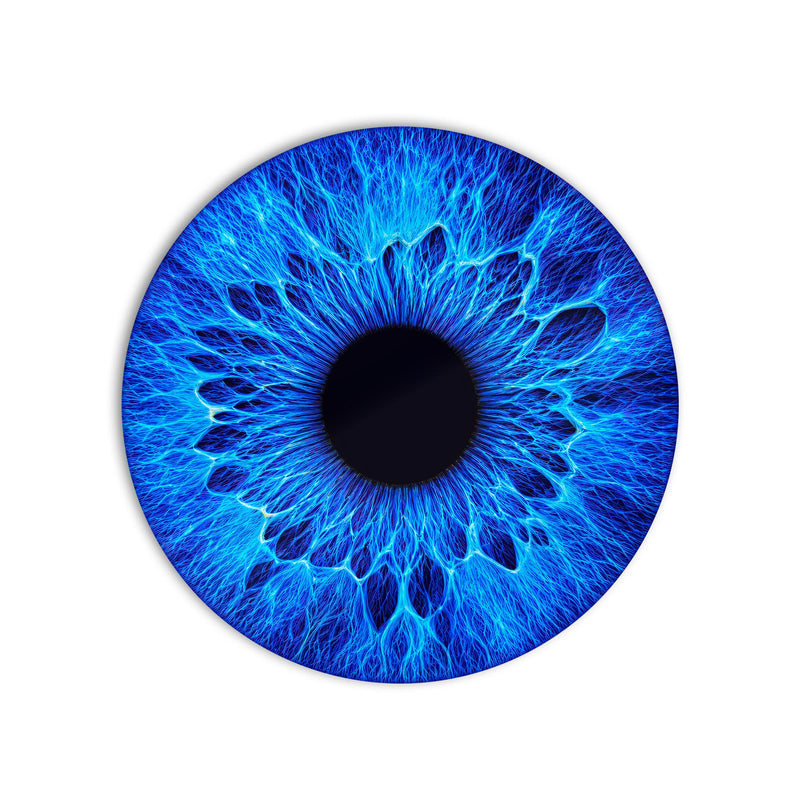 Electric Blue Iris product shot on white background