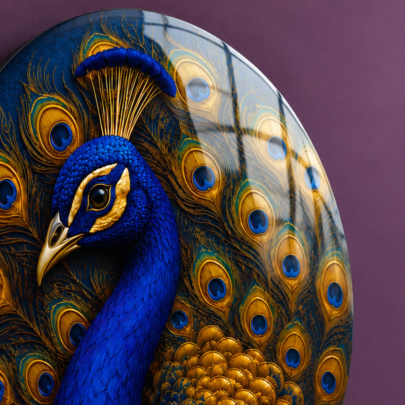 Regal Peacock Splendor lifestyle view