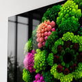Romanesco Color Mandala lifestyle view