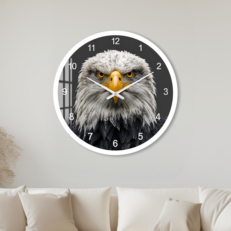 Majestic Bald Eagle with white frame