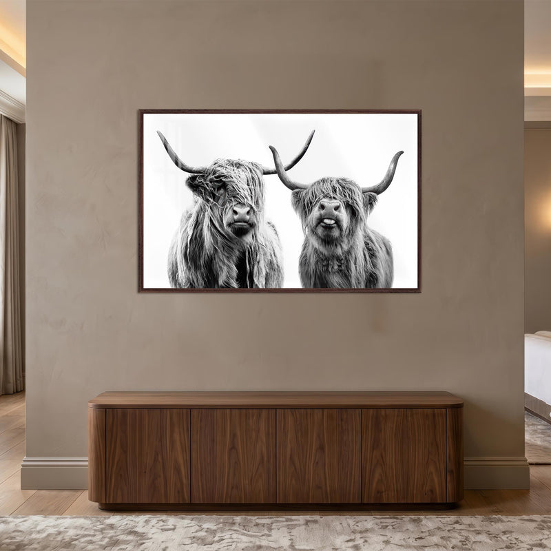 Highland Cow Duo with walnut frame