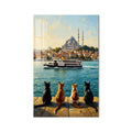 Cats Of Istanbul product shot on white background