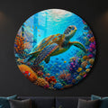 Tropical Sea Turtle lifestyle view