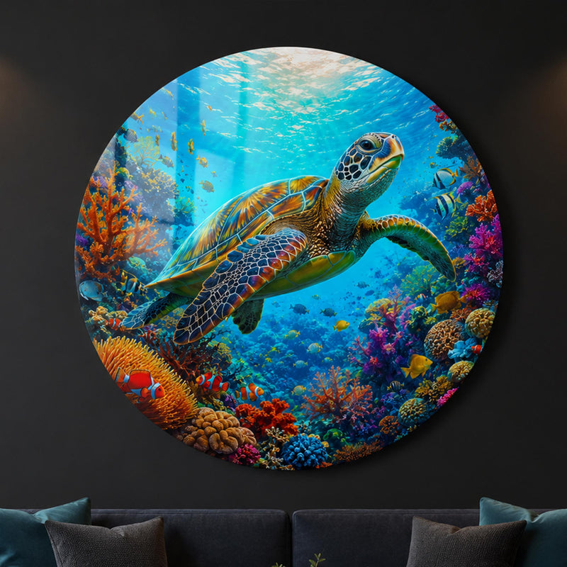 Tropical Sea Turtle lifestyle view