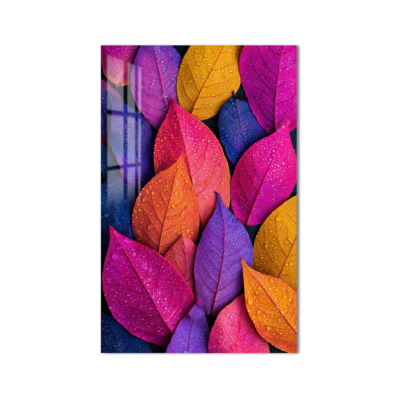 Rain-Kissed Rainbow Leaves product shot on white background