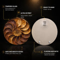 Golden Timber Spiral — tempered glass, ultra HD print, ready to hang