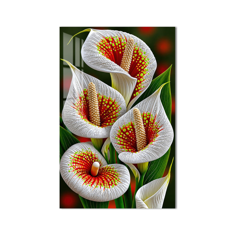Crimson Calla Lilies product shot on white background