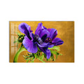 Purple Anemone Blooms product shot on white background