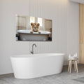 Artronauts Glass Print Bathtub Animal Lion II