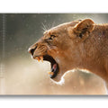 Artronauts Glass Print Lioness - Glass Wall Art