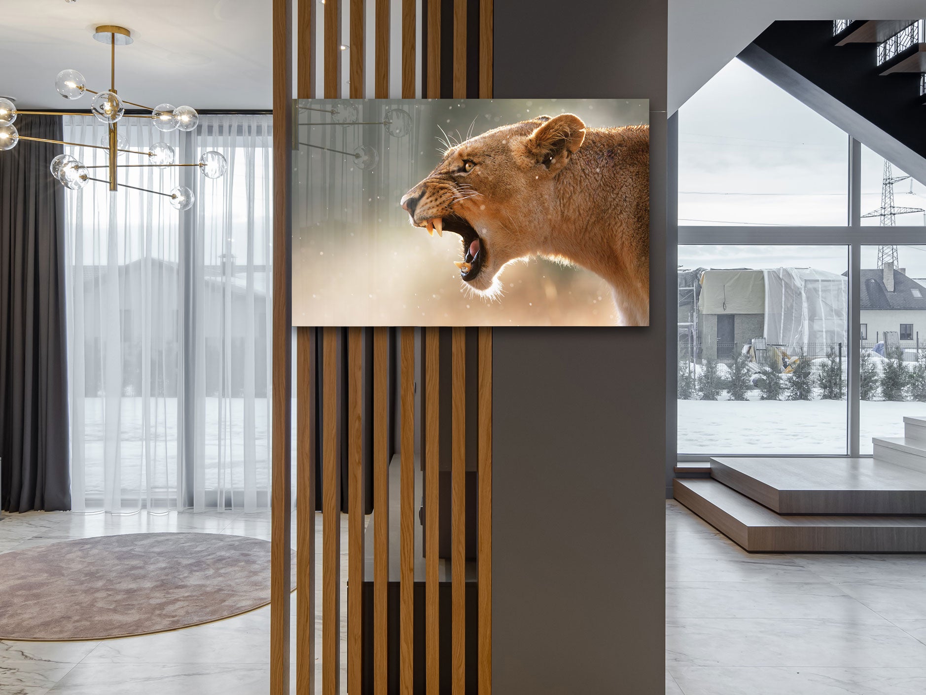 Lioness - Glass Wall Art