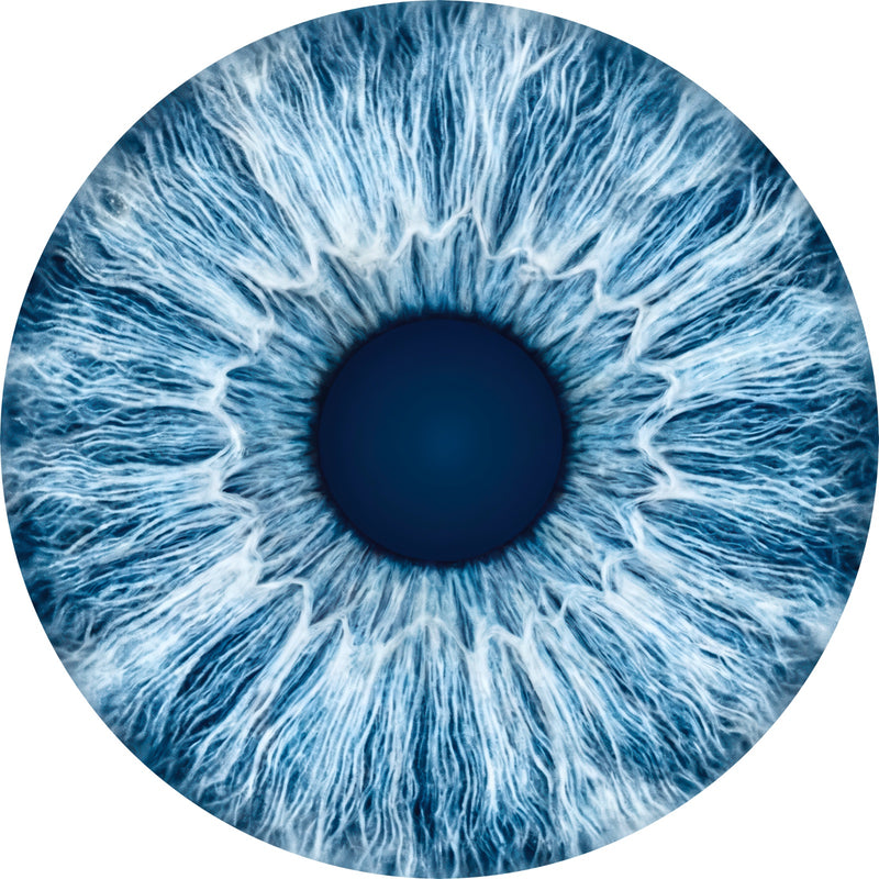 Frost Blue Iris Round Glass Wall Art