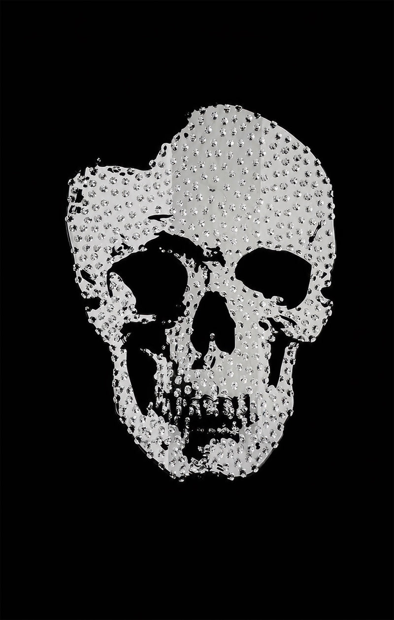 Crystal Skull Glass Wall Art