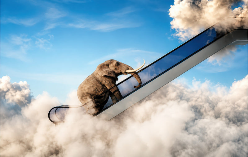 Elephant Sky Escalator Glass Wall Art