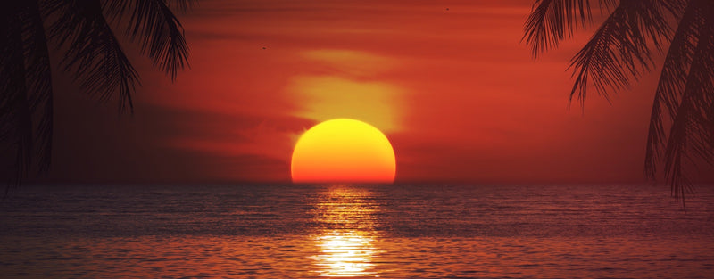 Sunset II - Panoramic