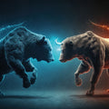 Bear vs Bull II