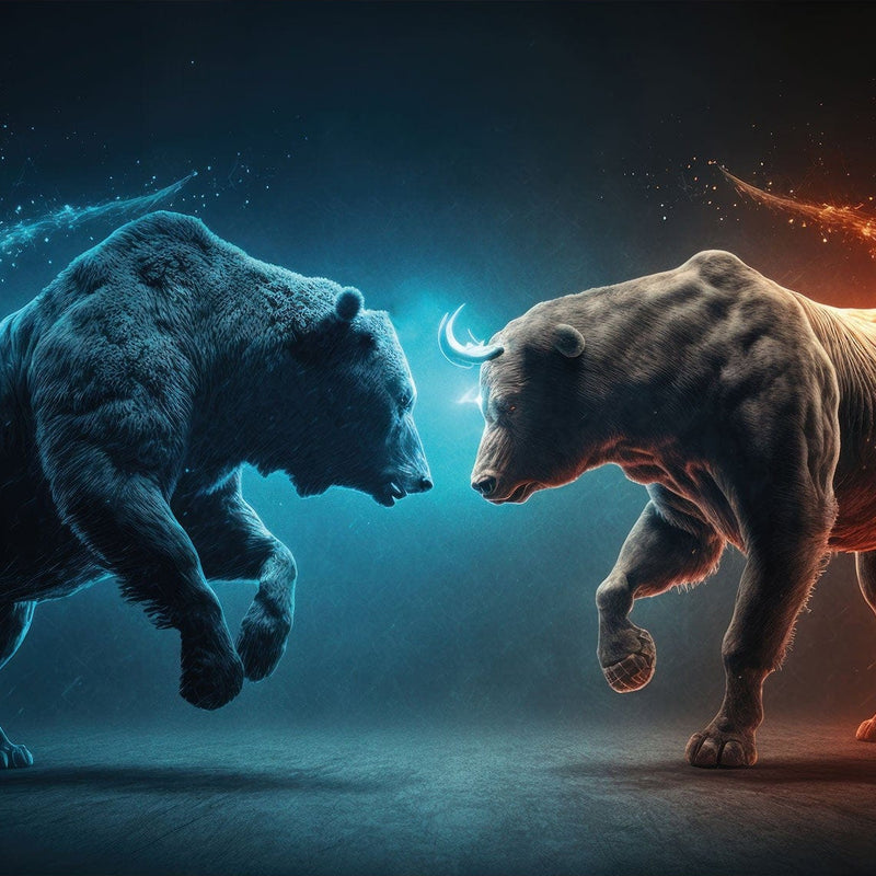 Bear vs Bull II