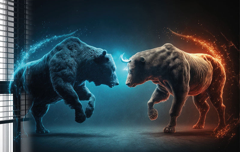 Bear vs Bull II