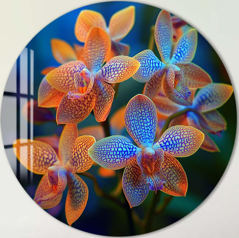 Elora - Rounded Glass Wall Art