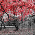 Artronauts Glass Print Red Leaves