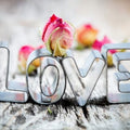 Artronauts Art Clearance T. Love