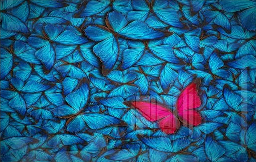 Artronauts Art Glass Print Butterflies