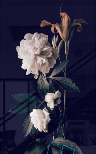 White Peony