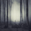 Artronauts Glass Print Foggy Forest