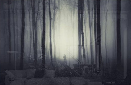 Artronauts Glass Print Foggy Forest