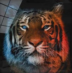 Artronauts Art Glass Print Blue Red Tiger