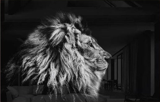 Lion Black&White