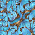 Artronauts Glass Print 92x36cm Floral Butterflies - Panoramic