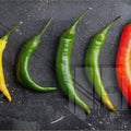 Artronauts Art Glass Print 92x36cm Peppers Panoramic