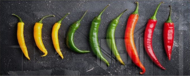 Peppers Panoramic