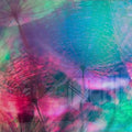 Artronauts Glass Print Colourful Dandelion