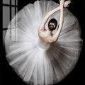 White Tutu From Above Glass Wall Art