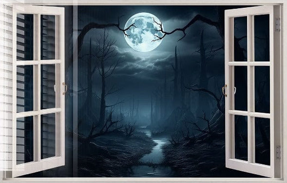 Window View Night