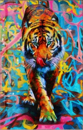 Colourful Tiger