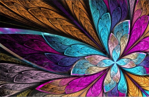 Colourful Flower