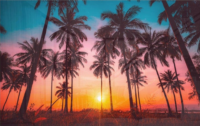 Golden Hour Palms Glass Wall Art