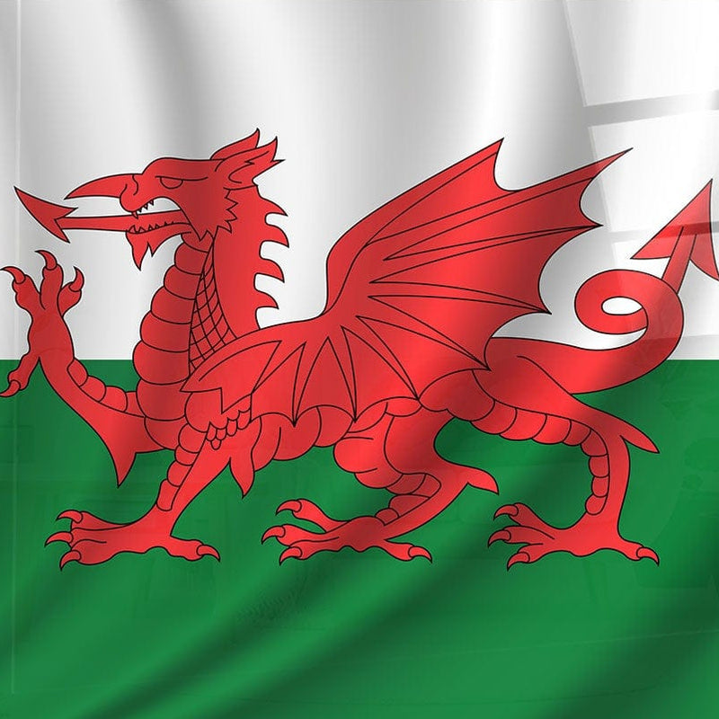 Artronauts Glass Print Welsh Dragon Glass Print Wall Art