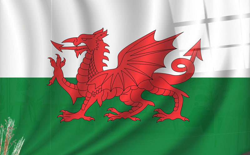 Welsh Dragon Glass Print Wall Art