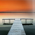 Artronauts Art Clearance T. The Pier - IV