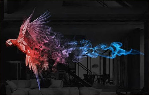 The Parrot