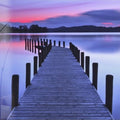 Artronauts Art Clearance T. The Pier - II