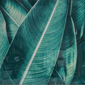 Artronauts Art Clearance T. Leaves