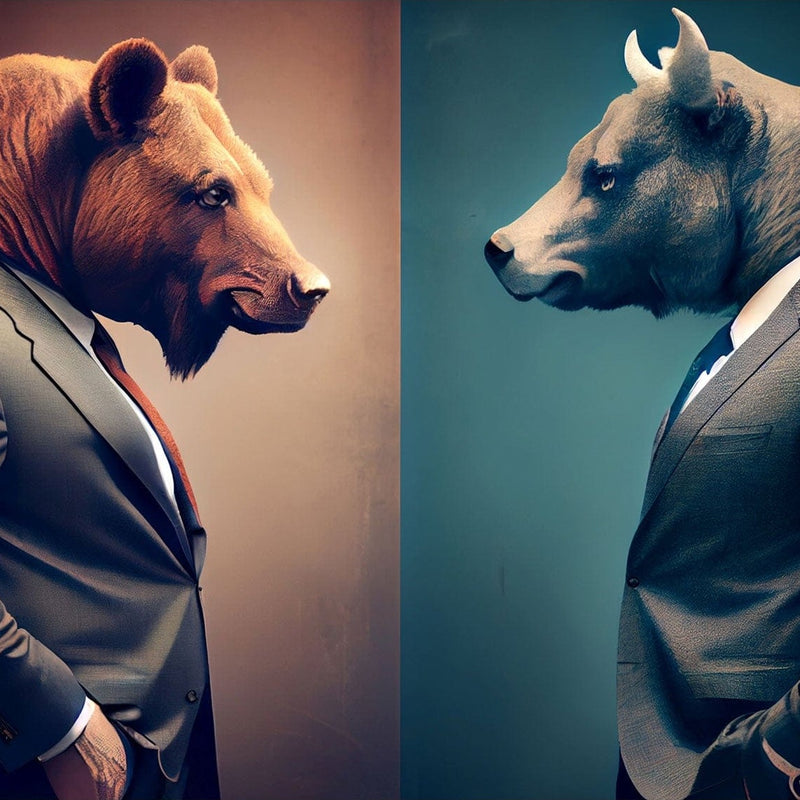 Bear vs Bull