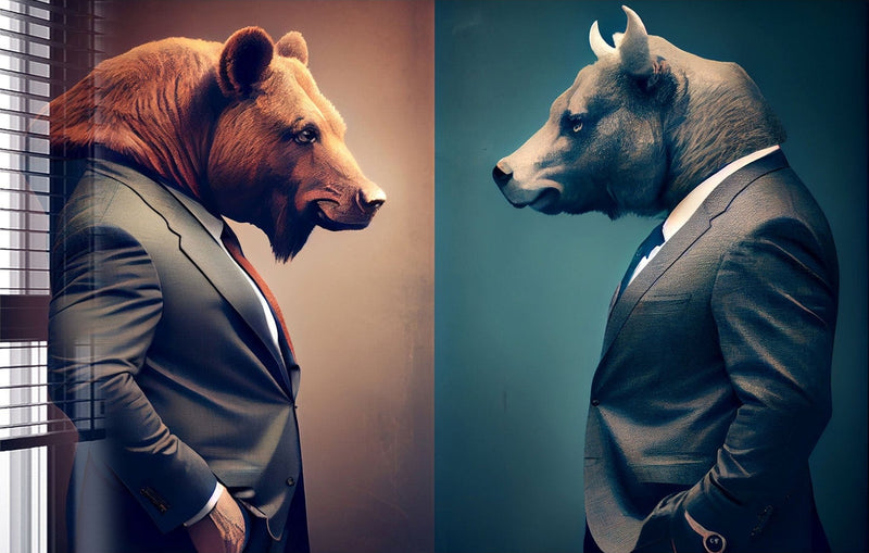 Bear vs Bull