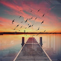 Artronauts Art Glass Print The Pier