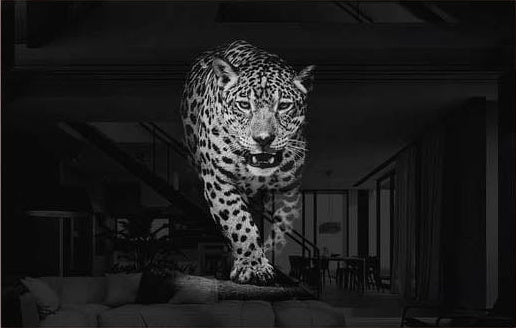 Leopard Black & White
